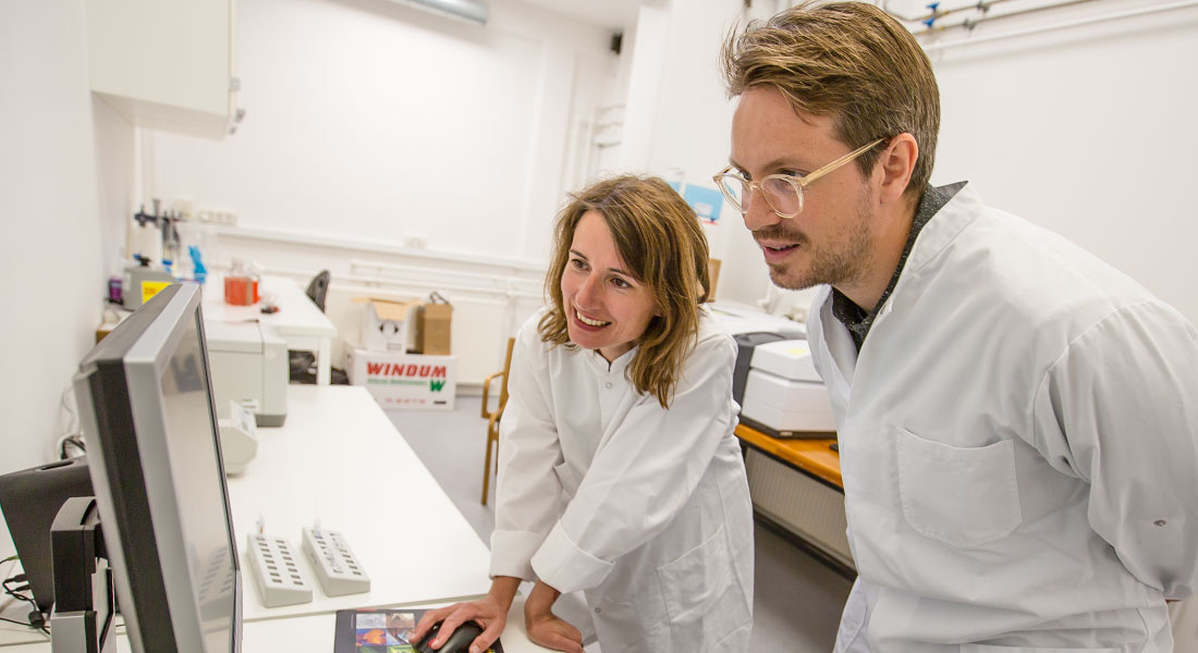 Forskning i Biokompleksitet på Niels Bohr Institutet ved Københavns Universitet