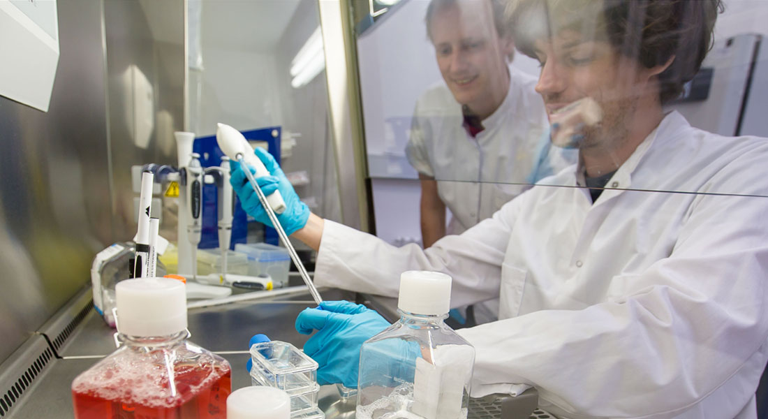 Forskning i Biokompleksitet på Niels Bohr Institutet ved Københavns Universitet