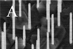 Dansende nanotråde giver bedre viden