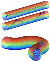 Computer simulations of filopodia dynamics