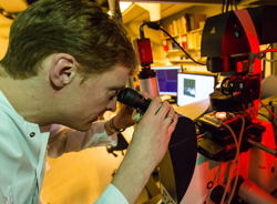 Poul Martin Bendix observing through a microscope