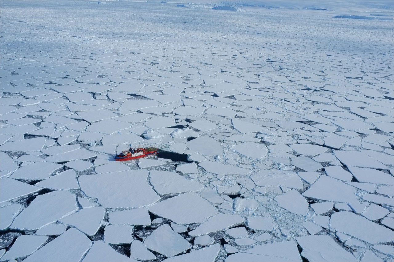 Как меняется природа арктических морей с запада. Северный Ледовитый океан паковый лед. Во льдах Арктики. Арктика море. Арктические льды.