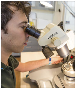 Fabrizio Nichele ved et mikroskop