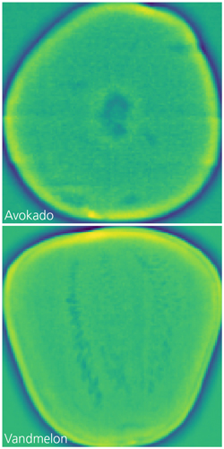 X-ray pictures of avocado and watermelon