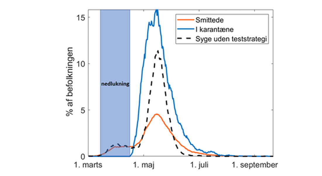 Sammenligning mellem et scenario med både en nedlukningsperiode, test og kontaktopsporing og et scenario uden test og kontaktopsporing