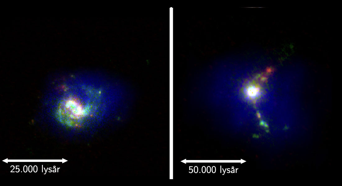 To galakser fra LARS-kataloget, her observeret gennem filtre som fremhæver specifikke fysiske processer