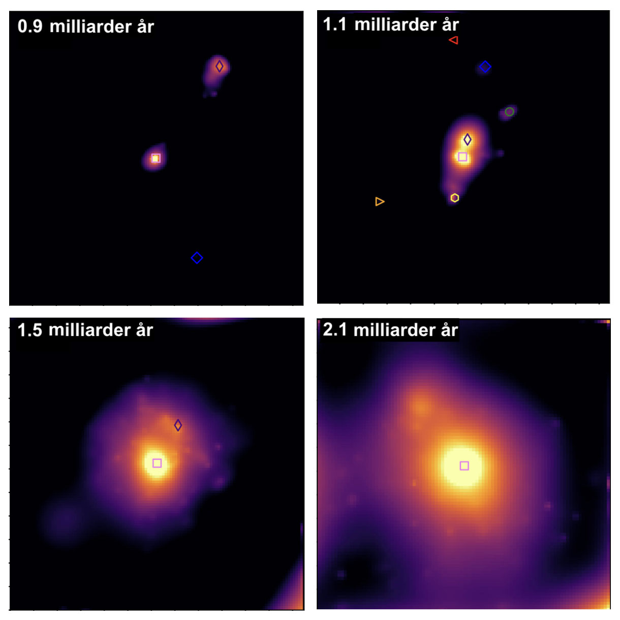 Fire snapshots af udviklingen af en simuleret protogalakse fra "EAGLE"-simuleringen, udvalgt til at ligne CGG-z5