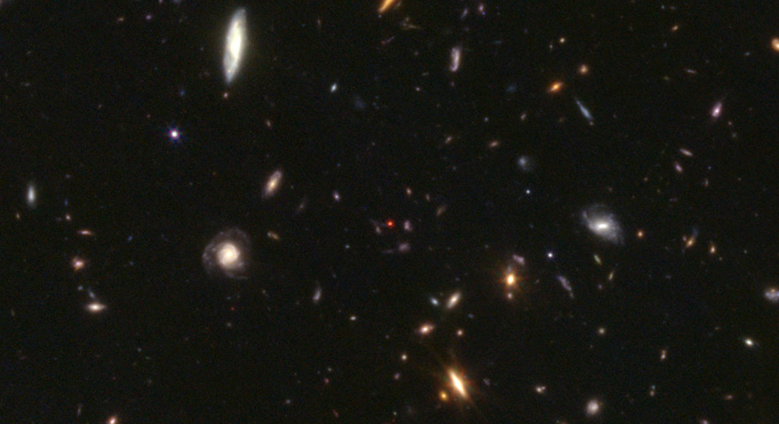 Billede af de første sorte huller, der ses som røde prikker. Foto: JWST/Niels Bohr Institutet, Cosmic Dawn Center 