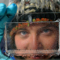 Emilie Capron looking through a thin section of ice