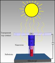 Sun rays drawn into nanowires