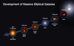 The growth of massive elliptical galaxies