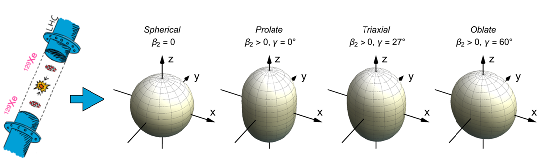 The nucleus of the Xenon atom can assume different shapes.