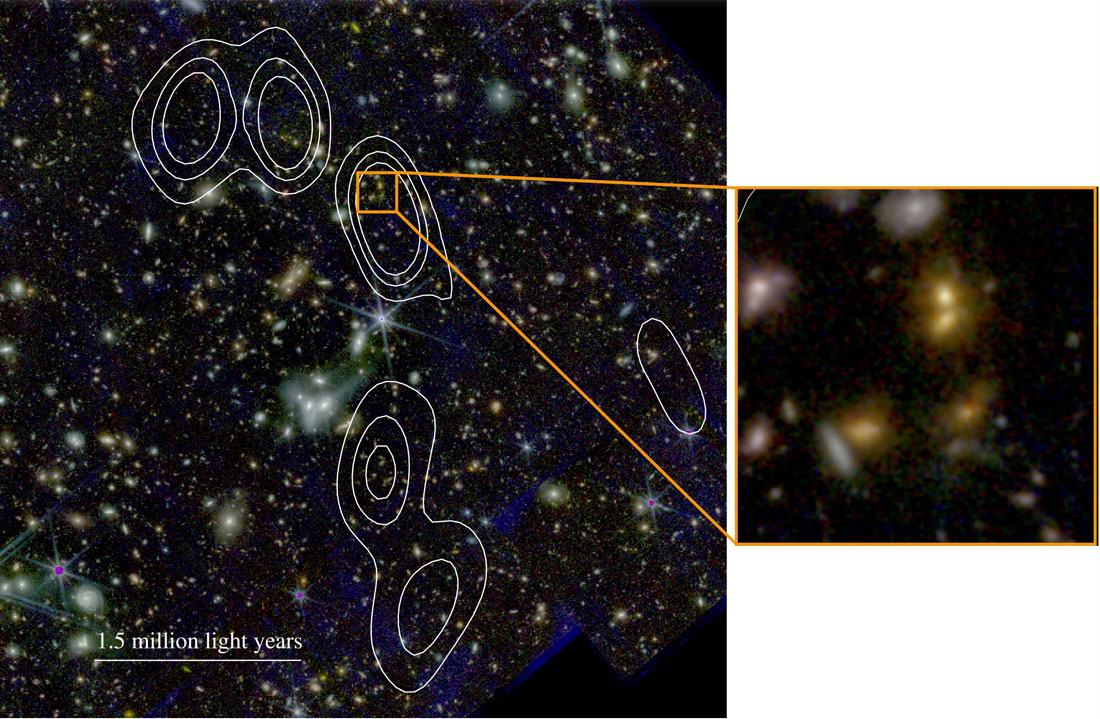 A view of the central part of the Cosmic Vine