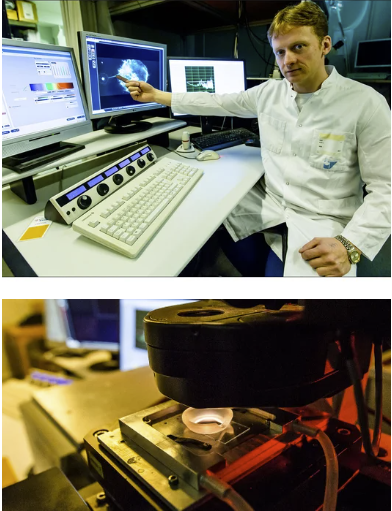 Fluorescent Microscopy