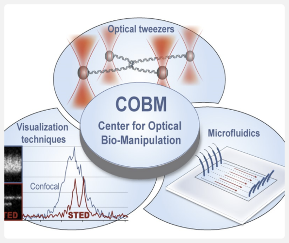 Single Molecule Biophysics