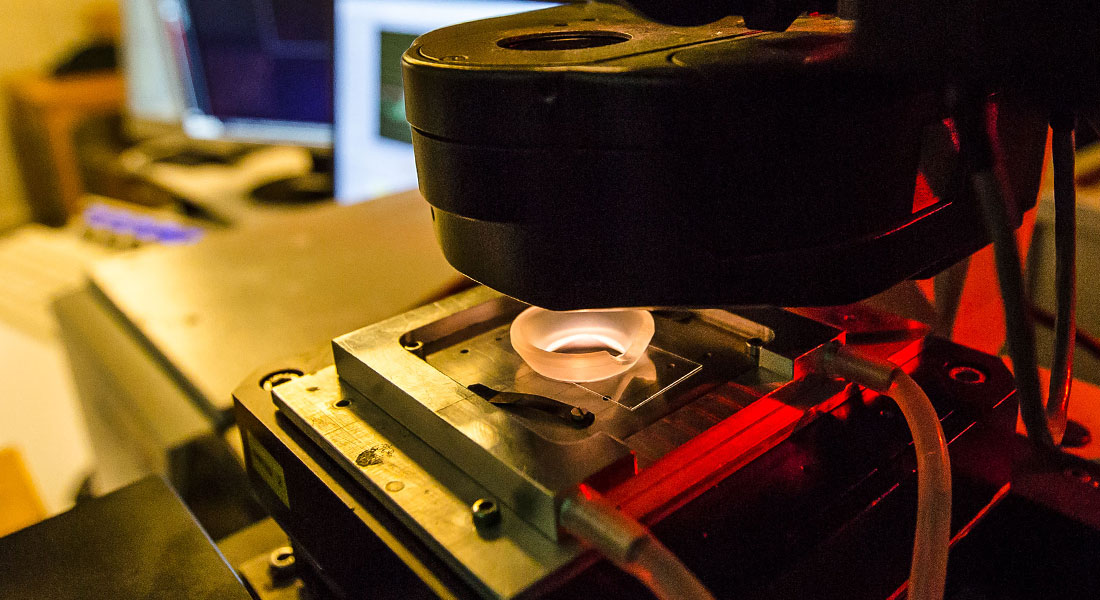 Biophysics of the cell surface using optical manipulation.