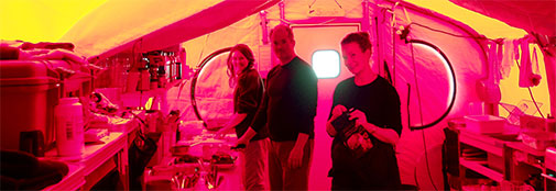 The Saturday night cooking team: Emily, Sune, and Lizzie. The light in the main tent mainly comes in through the red tent walls, making all colours look strange