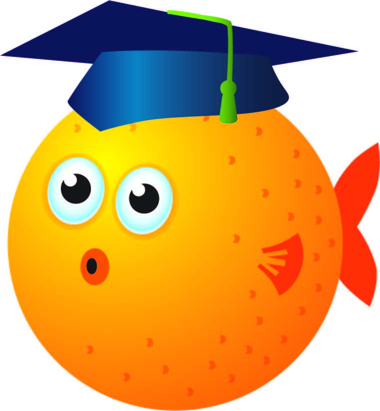 Funny orange student-fish