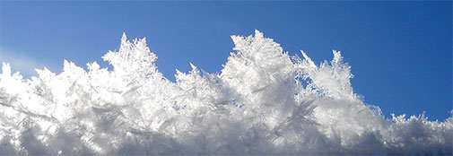When there is wind and moisture in the air, beautiful ice crystals grow on all exposed surfaces. These crystals grew overnight on a ladder. The width of the picture represents 15 cm in reality. 