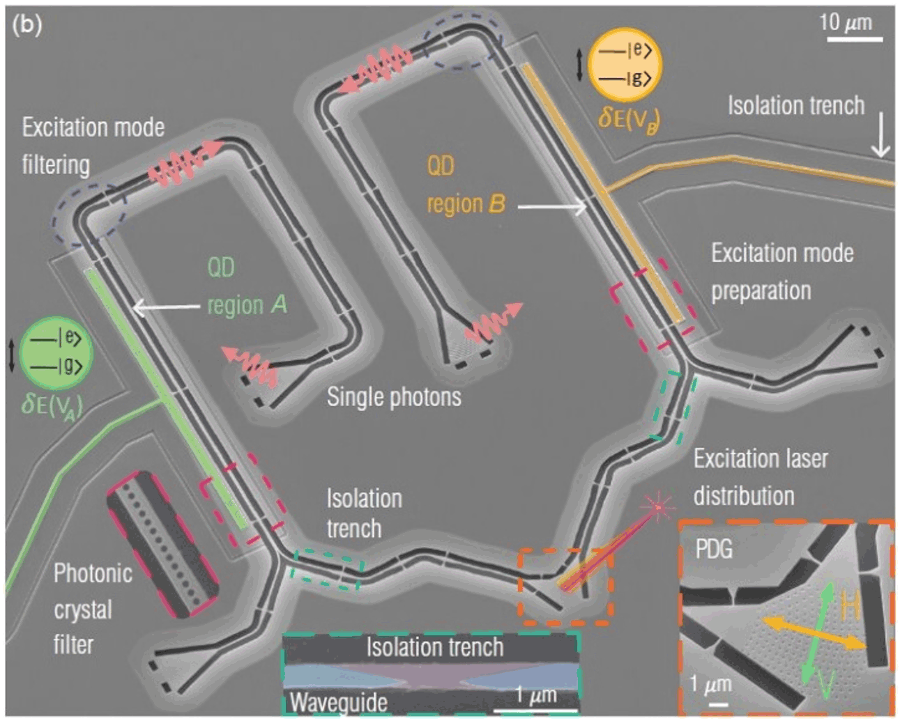 GaAs photonic integrated circuit with quantum emitters.