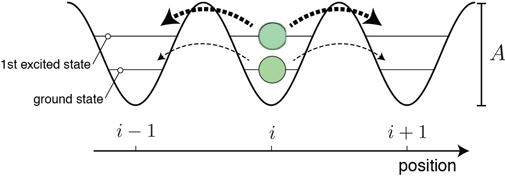Outline of method for probing antiferromagnetic ordering in optical lattices