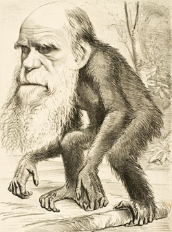 Charles Darwins head on a monkey