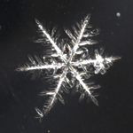 Snowflake