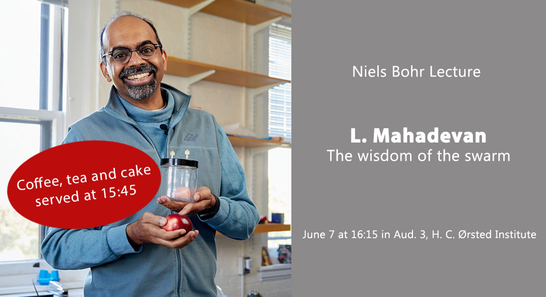 Niels Bohr Lecture by L. Mahadevan, Harvard University.