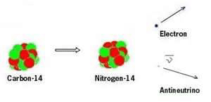 Carbon-14 henfalder til Nitrogen-14 med udsendelse af Elektron og antineutrino