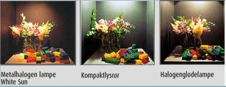Billede af blomster med tre forskellige lyskilder