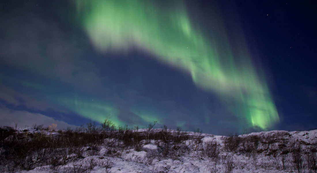 Sidste vinter var jeg i Tromsø, og der så jeg dette smukke syn. Foto: Peter Laursen (2025).